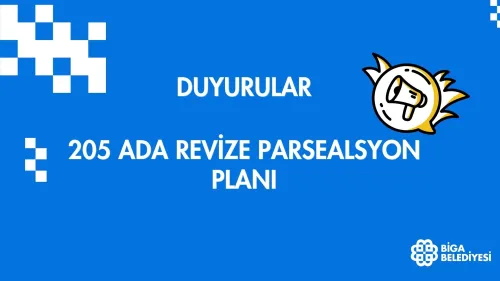 205 ADA REVİZE PARSEALSYON PLANI