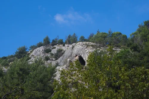 Biga