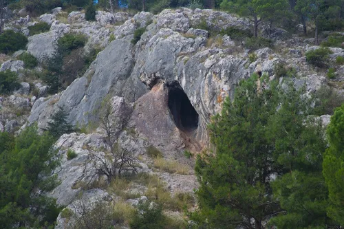 Biga