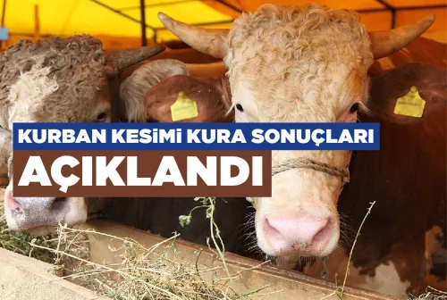 Thumbnail 78